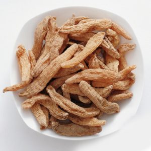 Gastroddia-root-300x300