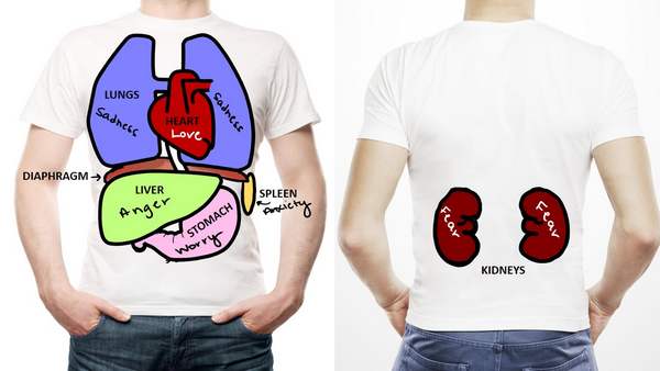 corrispondenze_organi_emozioni